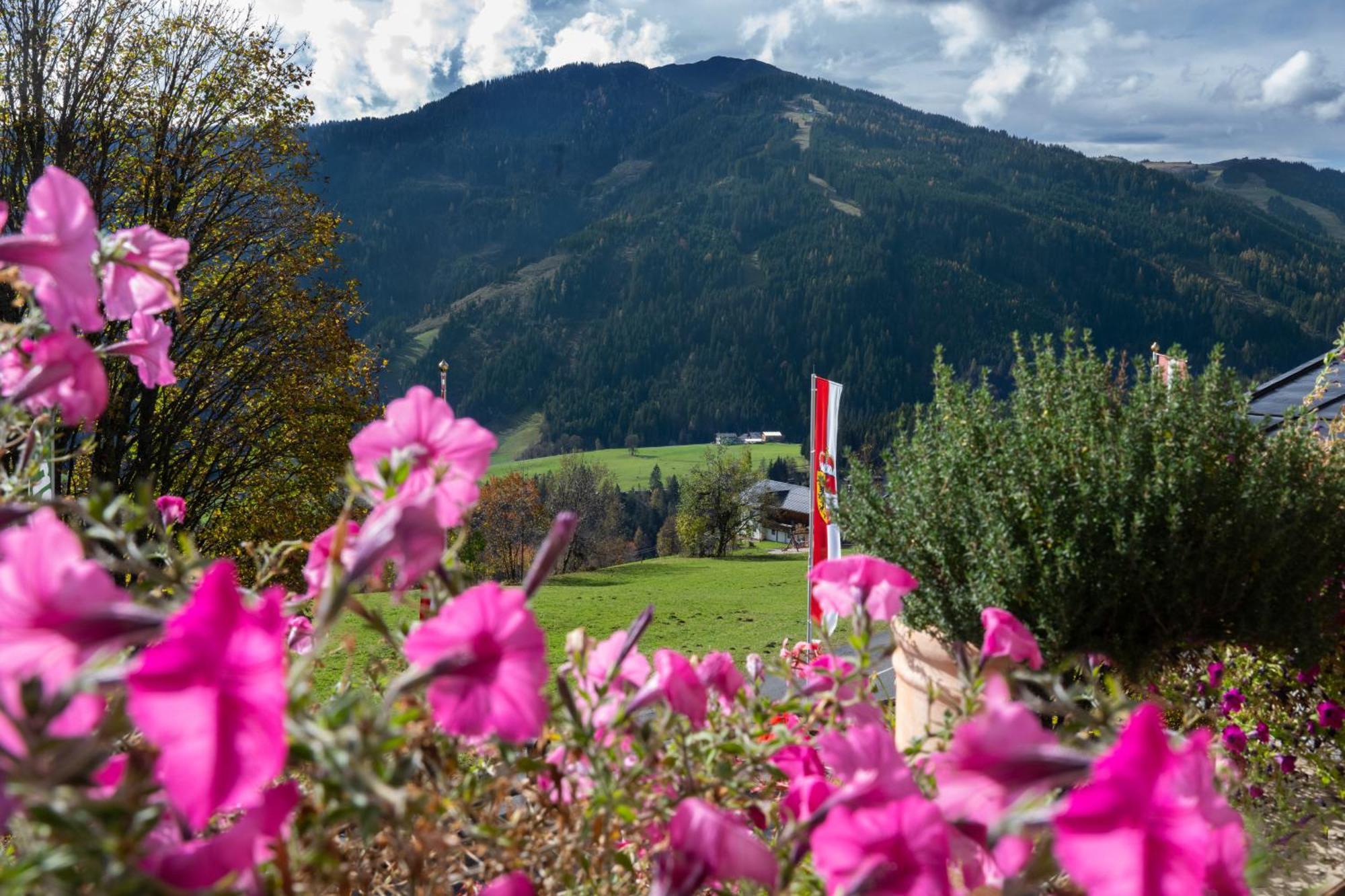 Sonnhof Am Hochkoenig Hotel Mühlbach am Hochkönig Екстериор снимка